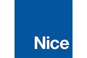 Nice Logo